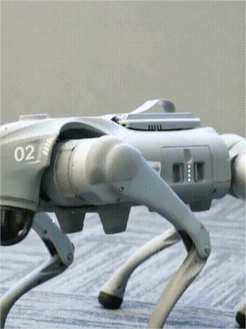 99.gif 99.gif